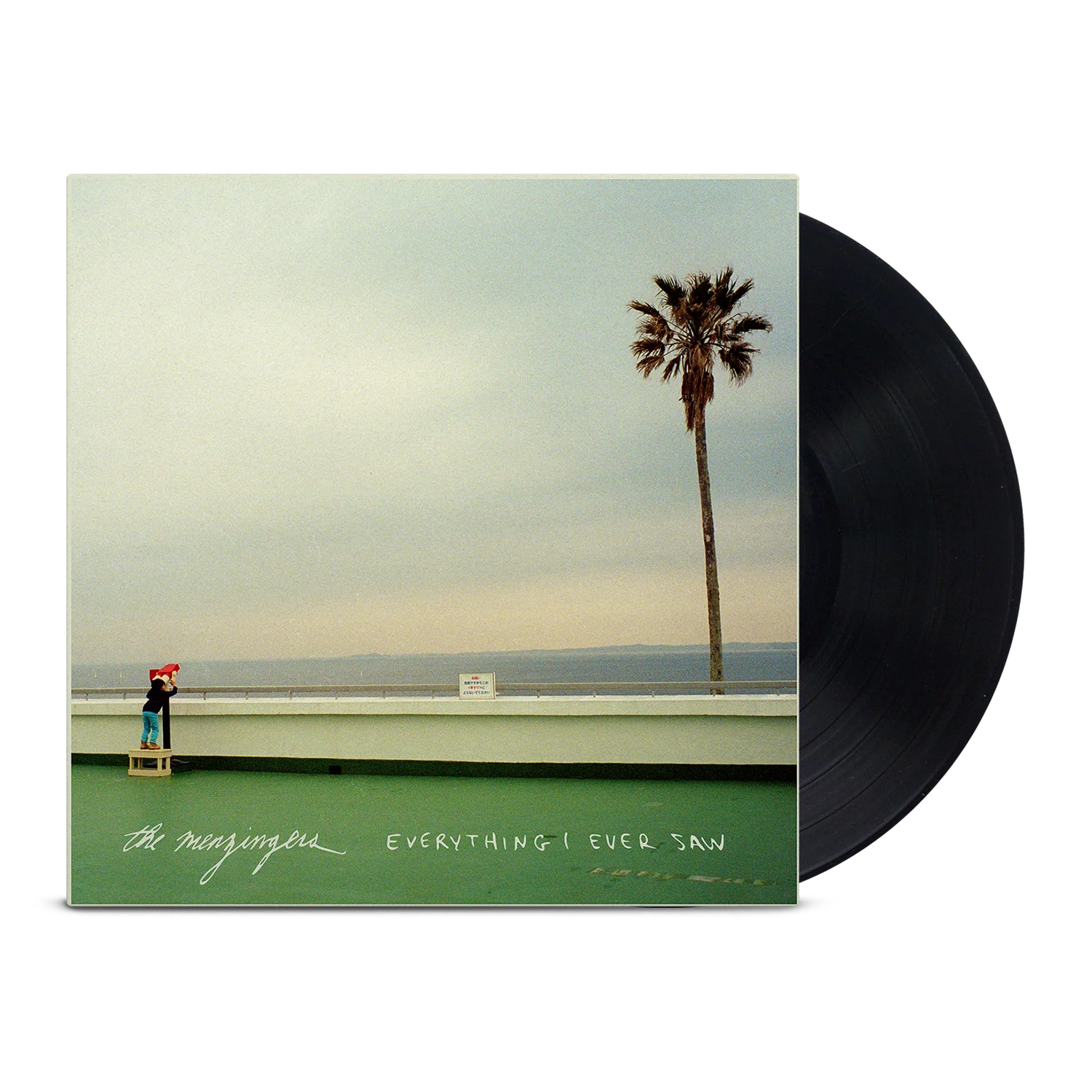 Everything I Ever Saw LP (Black)